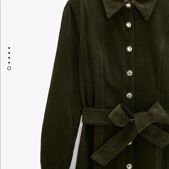 Zara green corduroy dress bloggers favorite - Picture 5 of 7